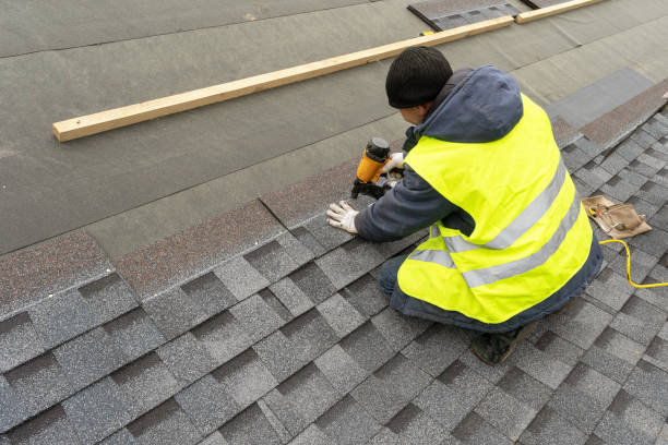 Best Metal Roofing Contractor  in Strasburg, VA